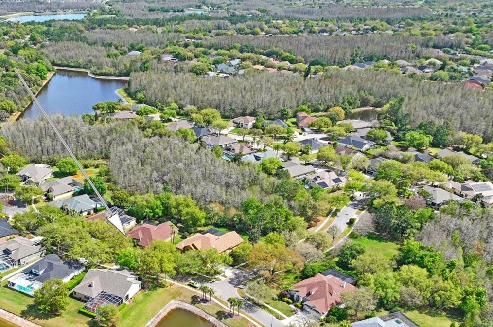 5412 Garden Arbor Dr, Lutz FL  33558-9098 exterior