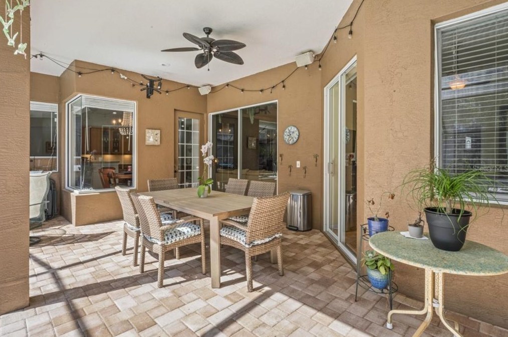 5412 Garden Arbor Dr, Lutz FL  33558-9098 exterior