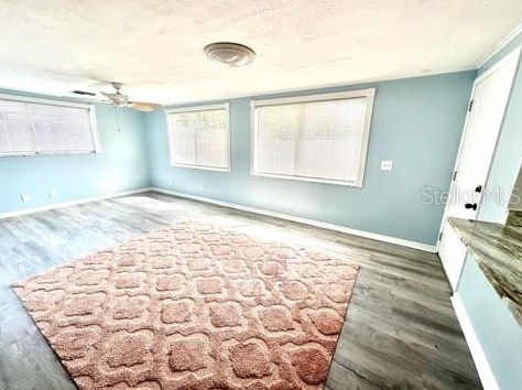 3638 Springfield Dr, Tarpon Springs FL  34691-1235 exterior