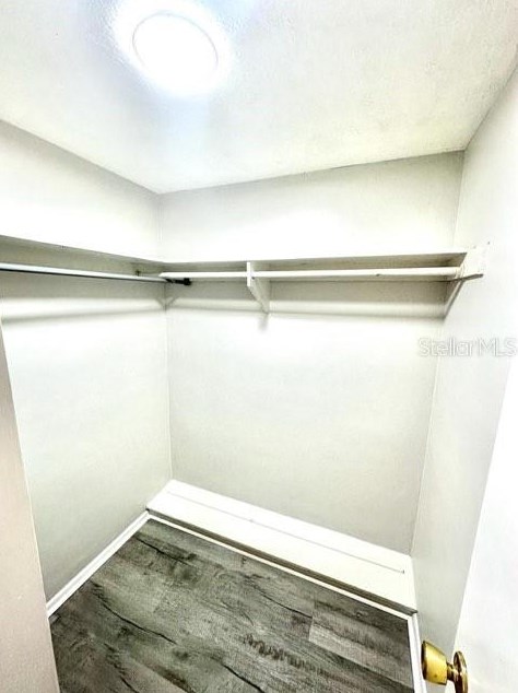 3638 Springfield Dr, Tarpon Springs FL  34691-1235 exterior