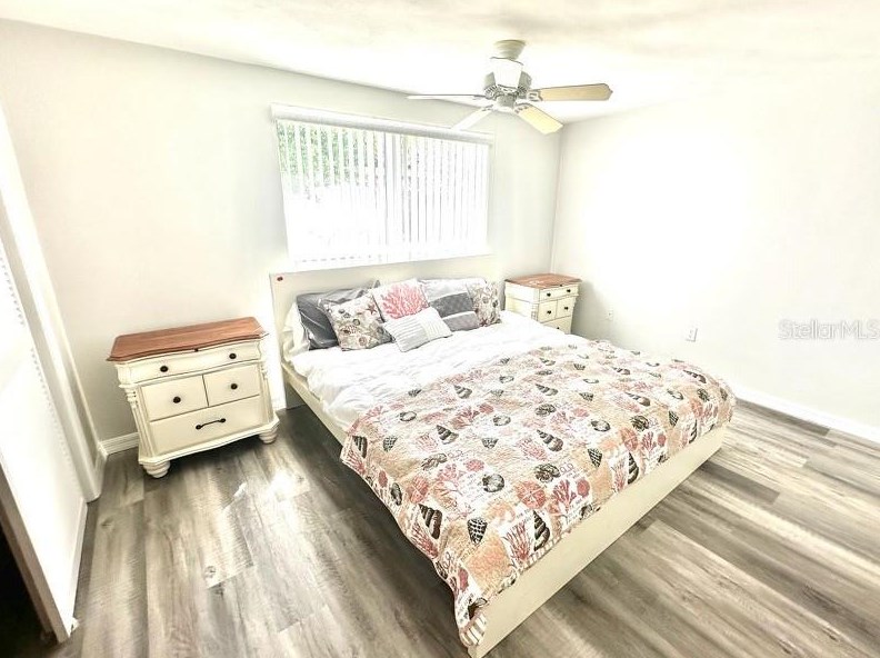 3638 Springfield Dr, Tarpon Springs FL  34691-1235 exterior