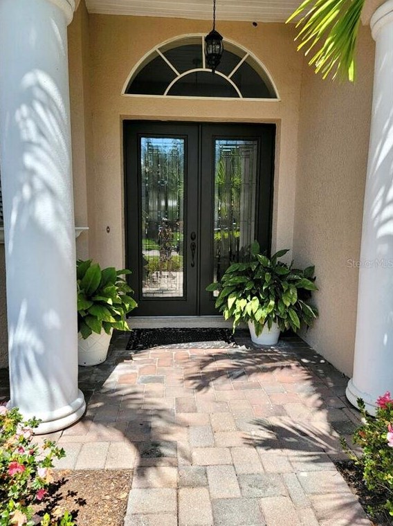 10542 Martinique Isle Dr, Tampa FL  33647-2774 exterior