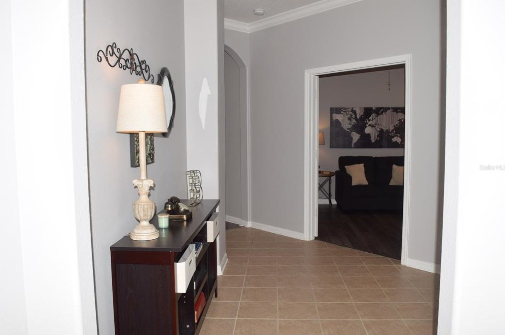 31836 Turkeyhill Dr, Zephyrhills FL  33543-7659 exterior