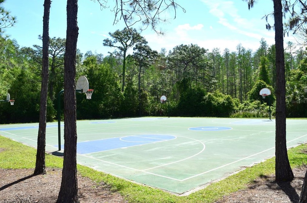 31836 Turkeyhill Dr, Zephyrhills FL  33543-7659 exterior