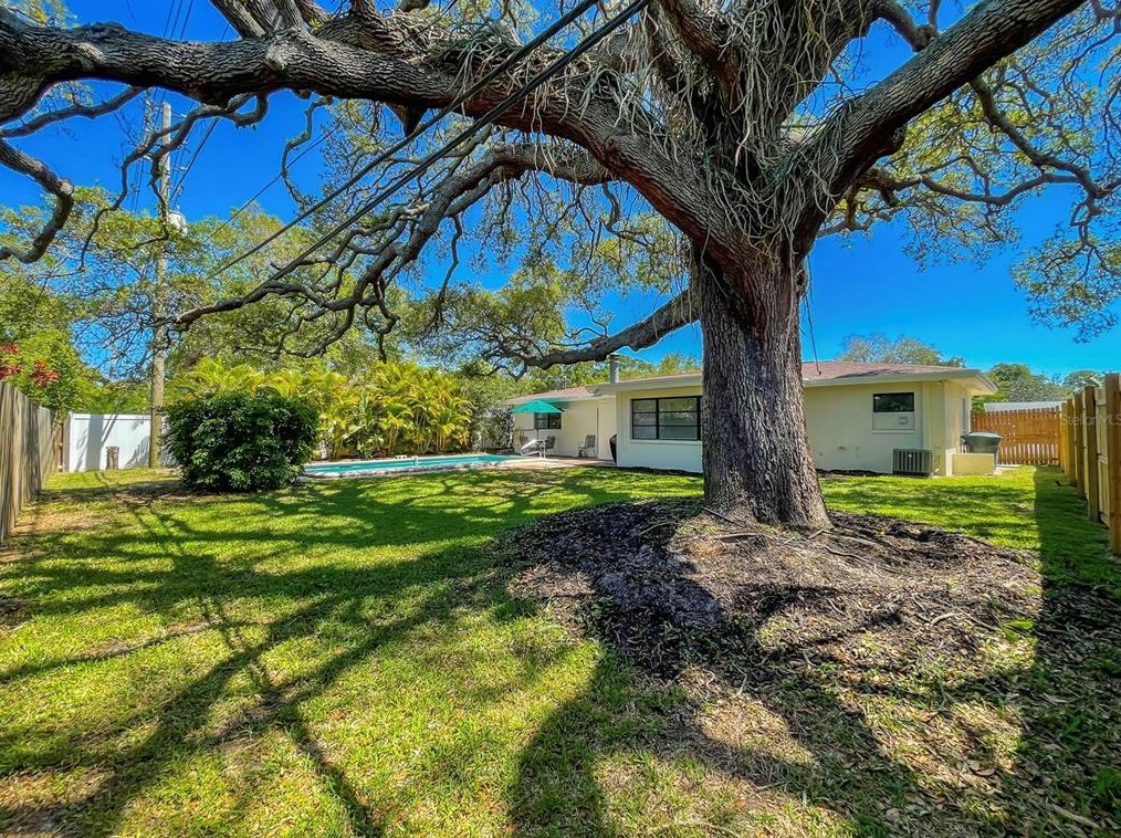 926 Lexington Dr, Dunedin FL  34698-8215 exterior