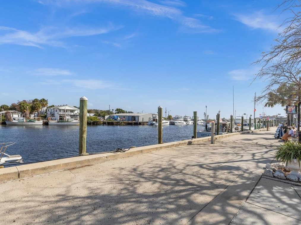 1464 Watermill Cir, Tarpon Springs FL  34689-7030 exterior