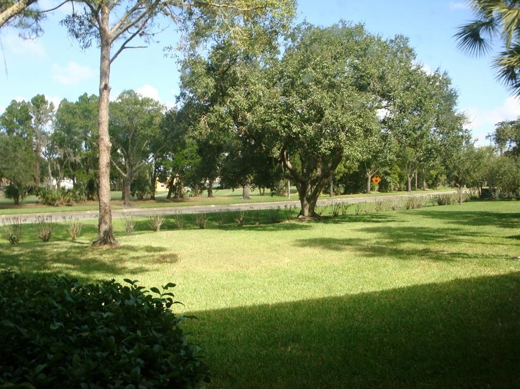 111 Cypress Ct, Oldsmar FL  34677-6106 exterior