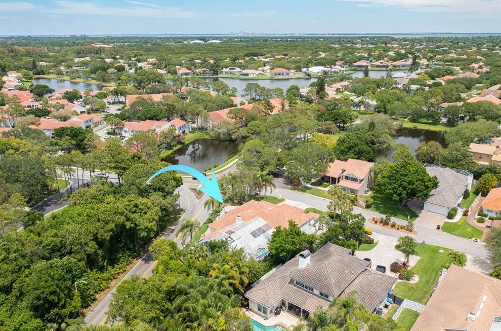 4690 Laurel Oak Ln, Saint Petersburg FL  exterior