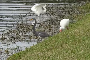 9543 86th Ave, Seminole, FL 33777 - Photo 33