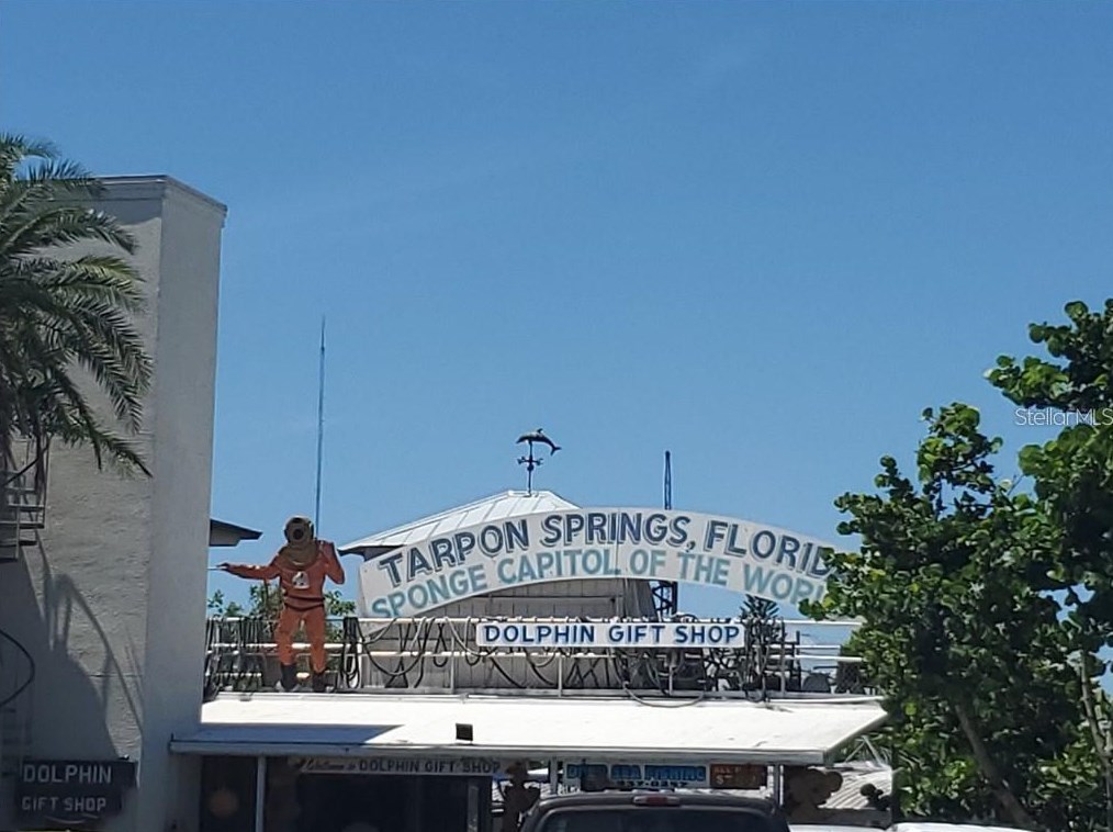 143 Melody Ln, Tarpon Springs FL  34689-5027 exterior