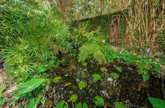 5317 18th Ave, Saint Petersburg FL  33710-5107 exterior