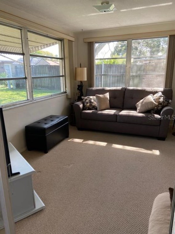 1834 Dartmouth Dr, Tarpon Springs FL  34691-4609 exterior