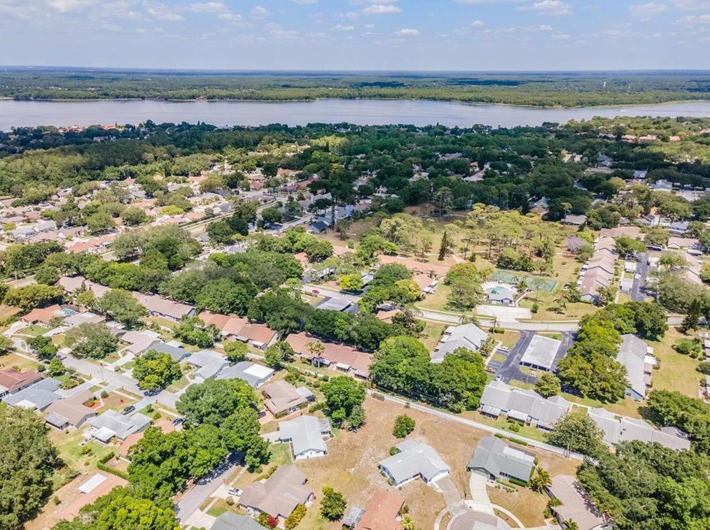 2582 Bentley Dr, Palm Harbor FL  34684-1804 exterior