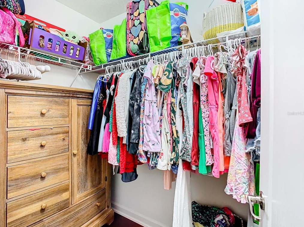 3875 Tristram Loop, Land O Lakes FL  34638-3014 exterior