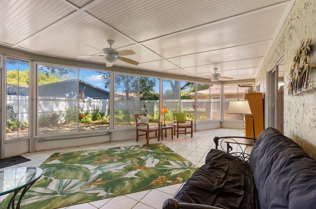 908 Anchorage Ln, Palm Harbor FL  34685-1603 exterior