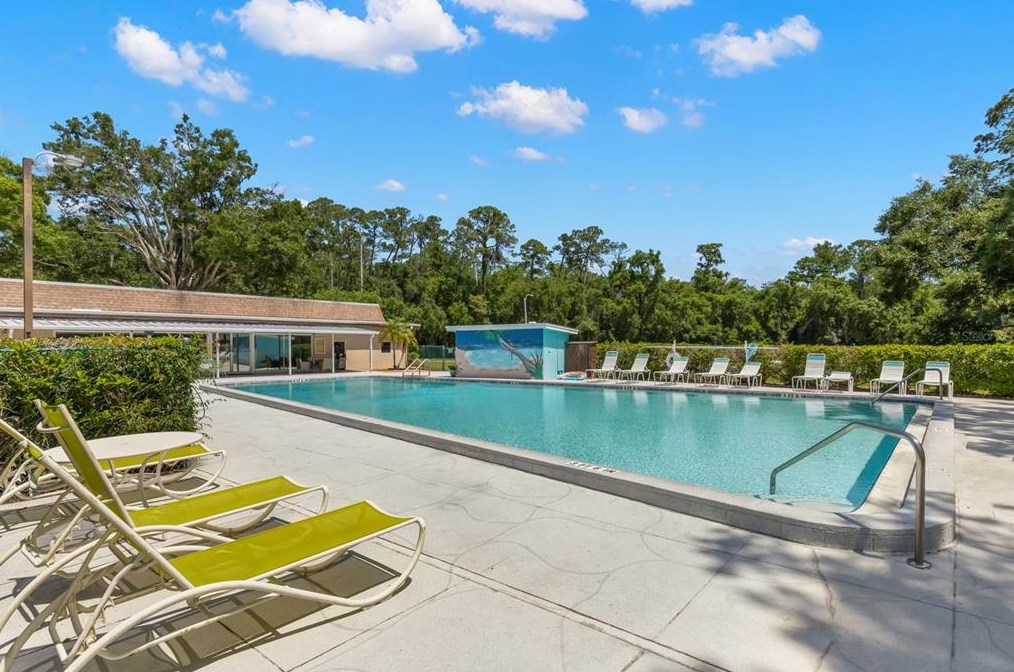 908 Anchorage Ln, Palm Harbor FL  34685-1603 exterior