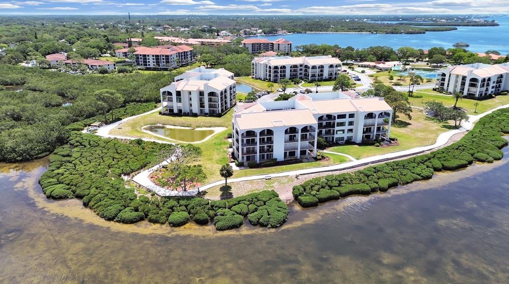 203 Mariner Dr, Tarpon Springs FL  34689-5836 exterior