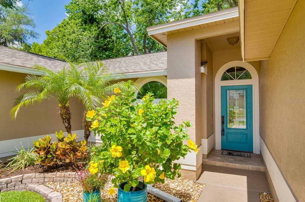 2139 Foggy Ridge Pkwy, Land O Lakes FL  34639-5410 exterior