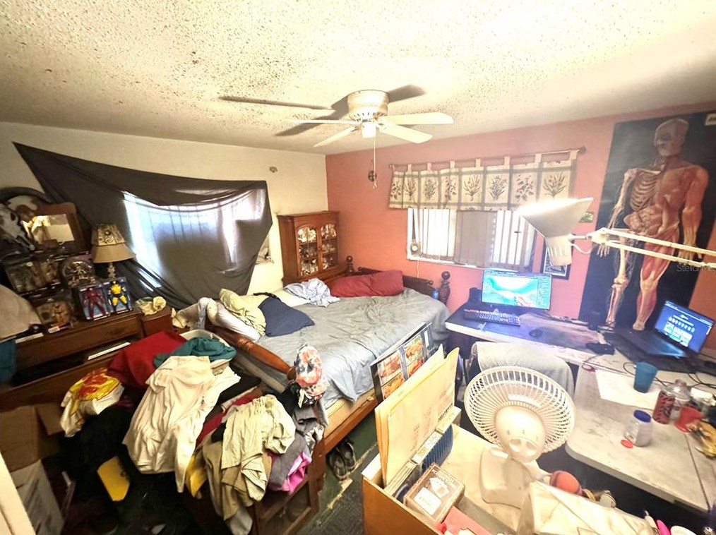 705 Wild Oak Ln, Palm Harbor FL  34683-3033 exterior