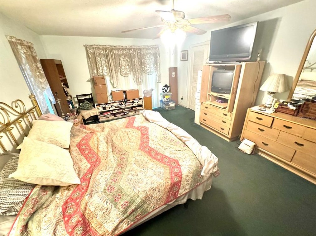 705 Wild Oak Ln, Palm Harbor FL  34683-3033 exterior