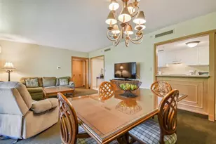 36750 US Hwy 19 N, Palm Harbor, FL 34684 - Photo 5