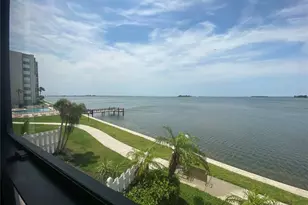 300 Woodette Dr, Dunedin, FL 34698 - Photo 53