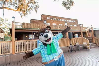 371 Bob Cat Lane, River Ranch, FL 33867 - Photo 11