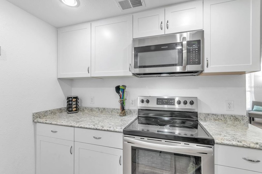 1309 Ironworks Ln, Tarpon Springs FL  34689-2937 exterior