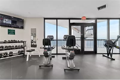 6287 Bahia Del Mar Circle #312, Saint Petersburg, FL 33715 - Photo 43