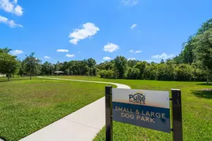 20591 Monza Loop, Land O Lakes, FL 34638 - Photo 41