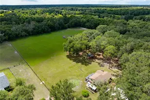 1811 Martin Rd, Dover, FL 33527 - Photo 9