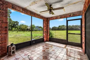 1811 Martin Rd, Dover, FL 33527 - Photo 29