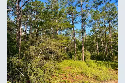 Pinetree Lane, Defuniak Springs, FL 32433 - Photo 11
