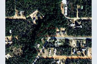 Pinetree Lane, Defuniak Springs, FL 32433 - Photo 39
