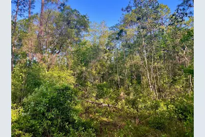 Pinetree Lane, Defuniak Springs, FL 32433 - Photo 37