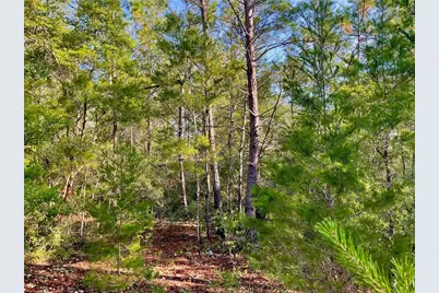 Pinetree Lane, Defuniak Springs, FL 32433 - Photo 13