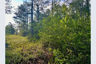 Pinetree Lane, Defuniak Springs, FL 32433 - Photo 9