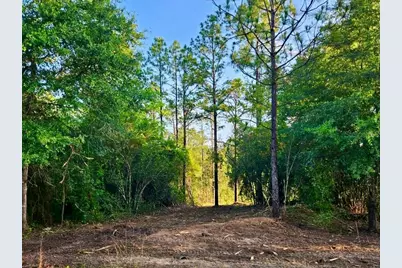 Pinetree Lane, Defuniak Springs, FL 32433 - Photo 25