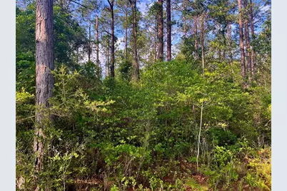 Pinetree Lane, Defuniak Springs, FL 32433 - Photo 33