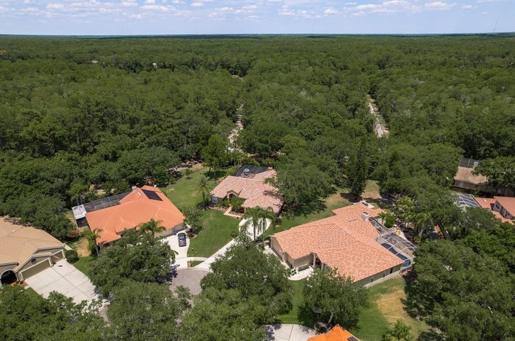 5099 Cross Pointe Dr, Oldsmar FL 34677-5214 exterior