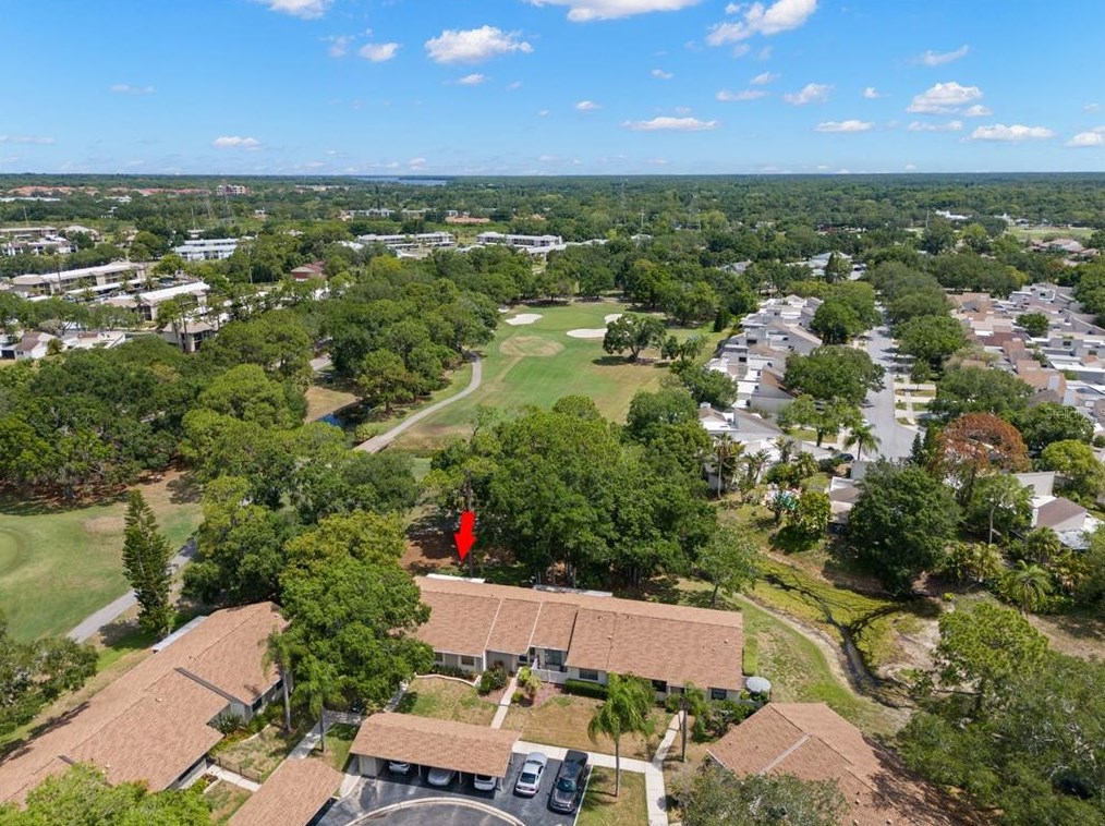 80 Tads Trl, Oldsmar FL 34677-2320 exterior