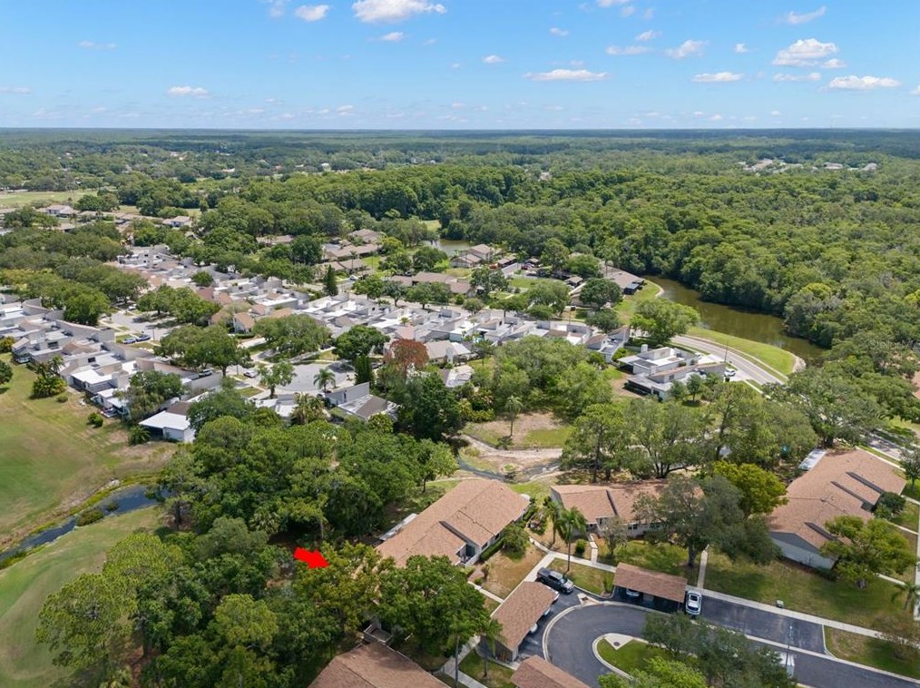 80 Tads Trl, Oldsmar FL 34677-2320 exterior