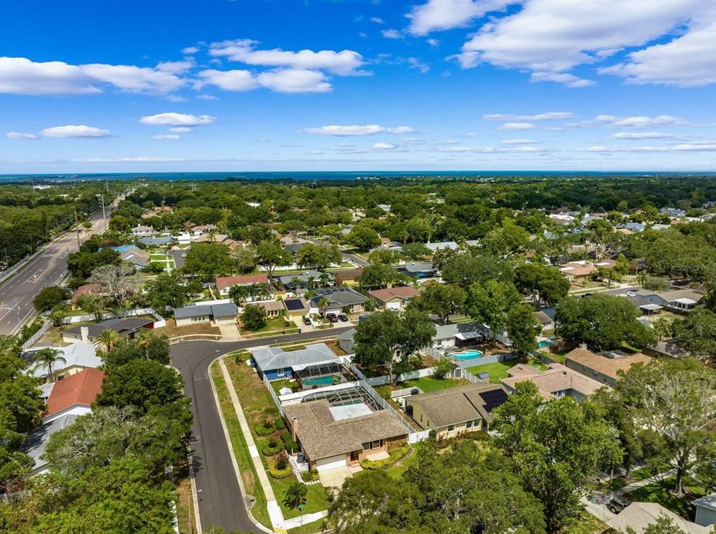 125 Cherry Laurel Dr, Palm Harbor FL  34683-4818 exterior
