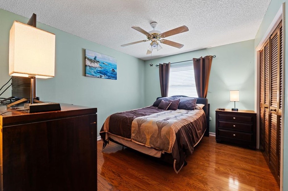 125 Cherry Laurel Dr, Palm Harbor FL  34683-4818 exterior