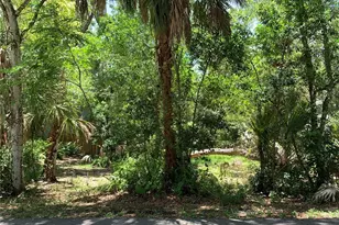 Center Ave, Tarpon Springs, FL 34689 - Photo 1