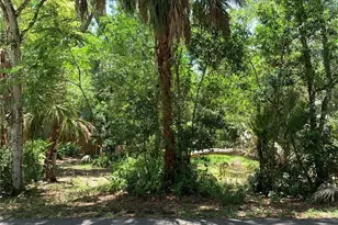 Center Ave, Tarpon Springs, FL 34689 - Photo 1