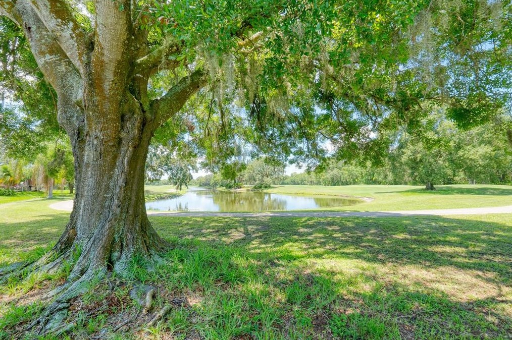 15652 Eastbourn Dr, Odessa FL  33556-2850 exterior