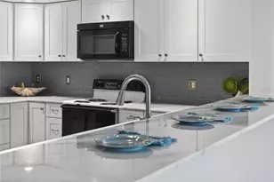 138 1st St E, Saint Petersburg, FL 33715 - Photo 61