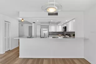 138 1st St E, Saint Petersburg, FL 33715 - Photo 23
