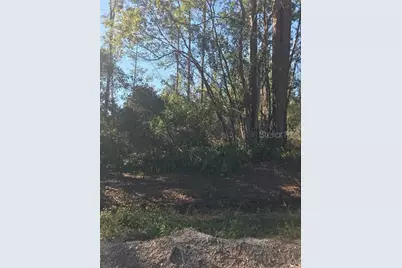 Hill Paper Avenue, Deltona, FL 32725 - Photo 1